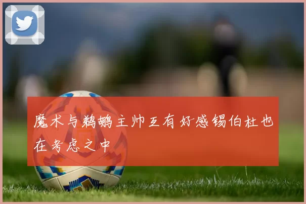 魔术与鹈鹕主帅互有好感锡伯杜也在考虑之中