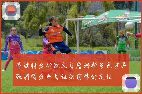香波特分析欧文与詹姆斯角色差异强调得分手与组织前锋的定位
